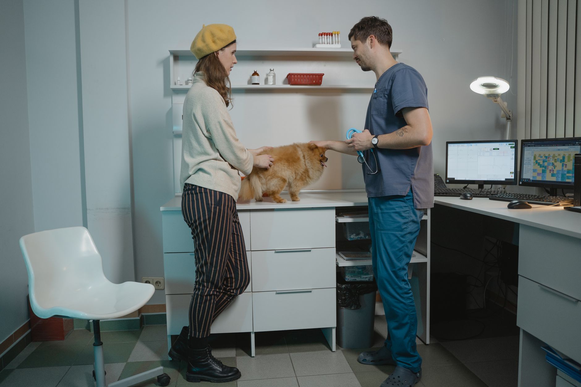 Recepce a ordinace kliniky Veterina Lapka v Olomouci