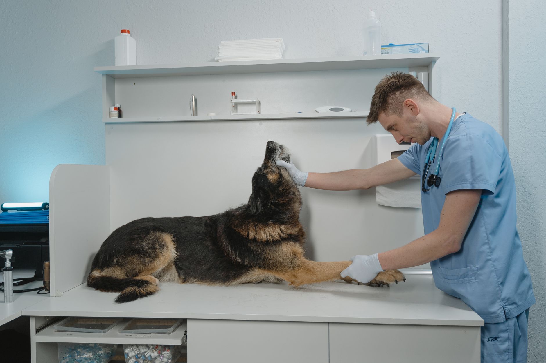 Ordinace kliniky
